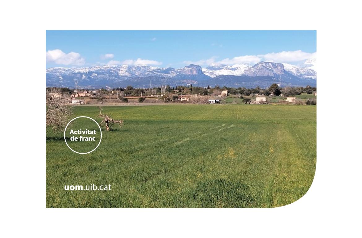 UOM a Mallorca 2025