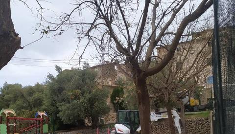 accessibilitat a la zona de l'escola