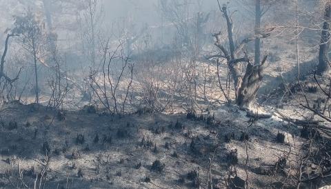 incendi